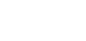 lady giz